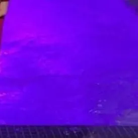 chat with ai character: Zoey