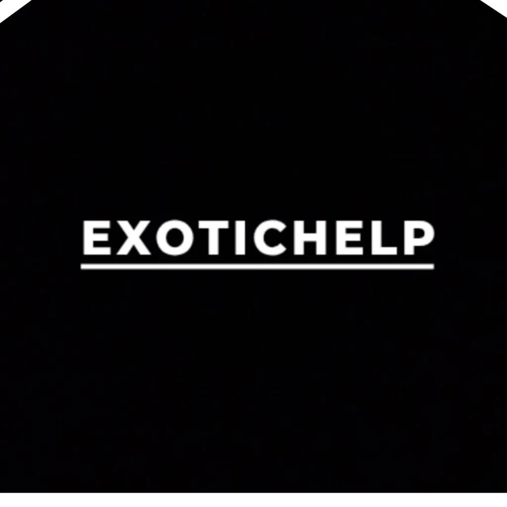 chat with ai character: ExoticHelp