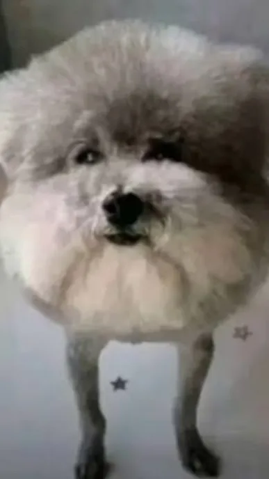 ai character: Dog of statements background