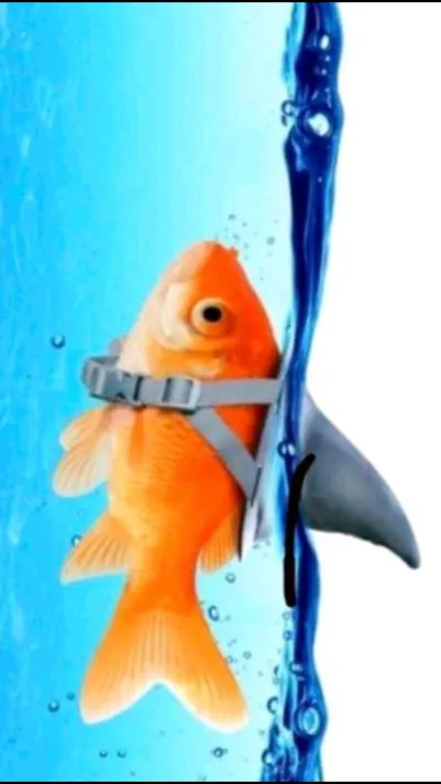 ai character: Tough fish background