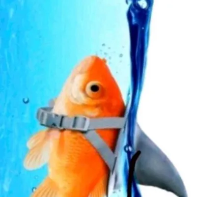 chat with ai character: Tough fish