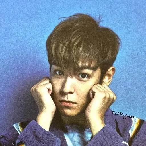 chat with ai character: choi seung hyun 