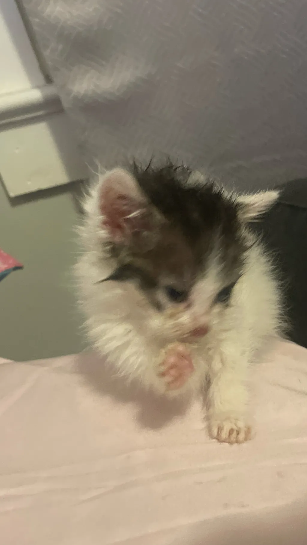 ai character: Asher background