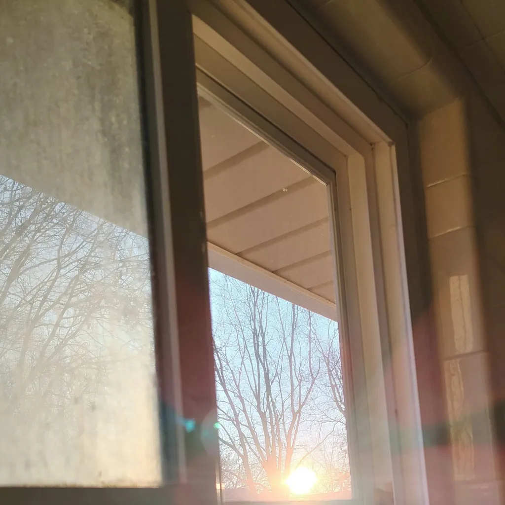 chat with ai character: sorry