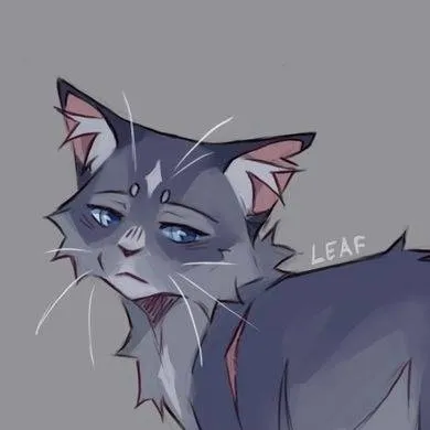 chat with ai character: warrior cats 