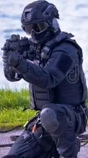 ai character: Shadow Stalker background