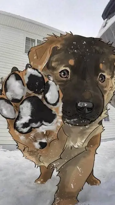 ai character: Snowpaw background