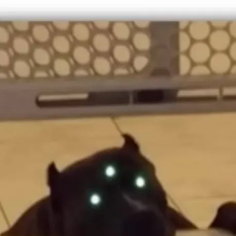 chat with ai character: carnitrix 