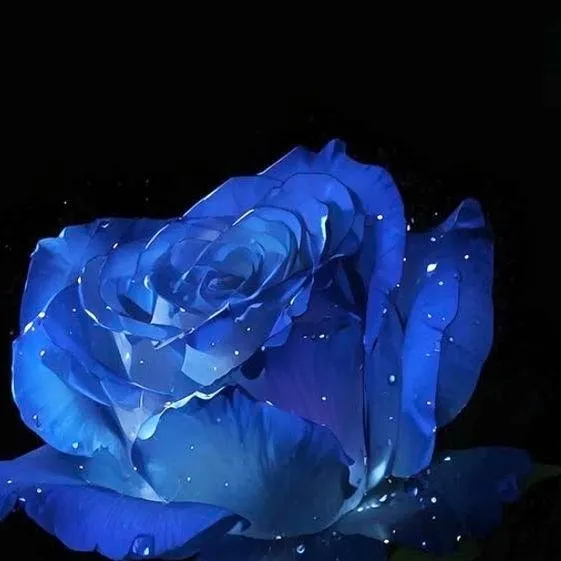 chat with ai character: ypu meet me + ocs!