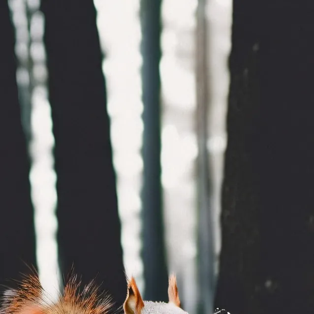 chat with ai character: squirrel with gun