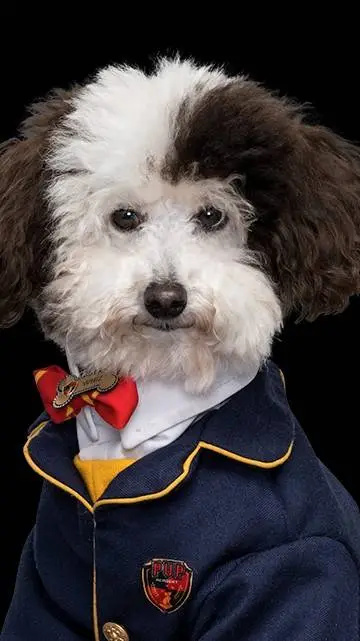 ai character: Whiz  background