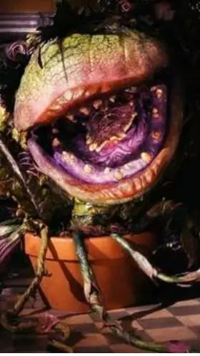 ai character: Audrey 2  background