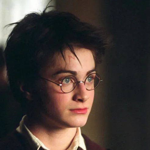 chat with ai character: Harry x Y/N Malfoy