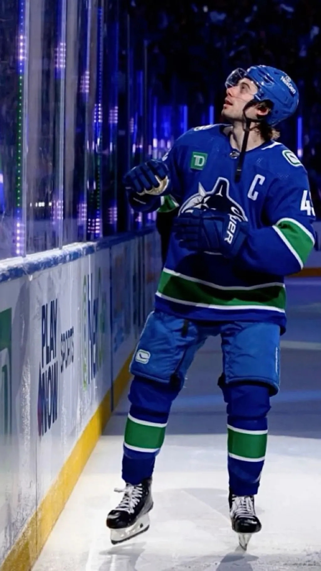 ai character: Quinn Hughes background