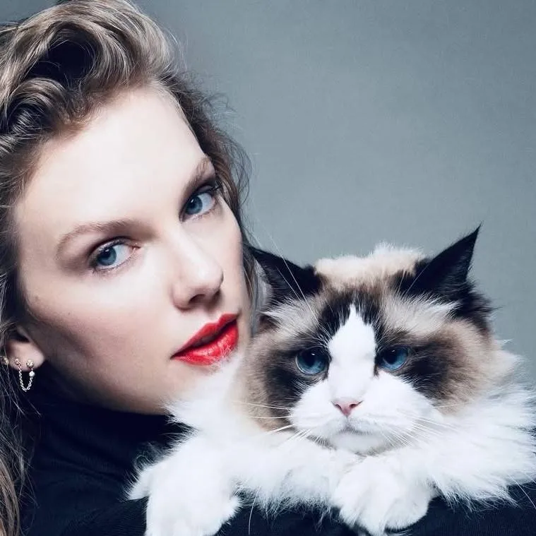 chat with ai character: Taylor Swift