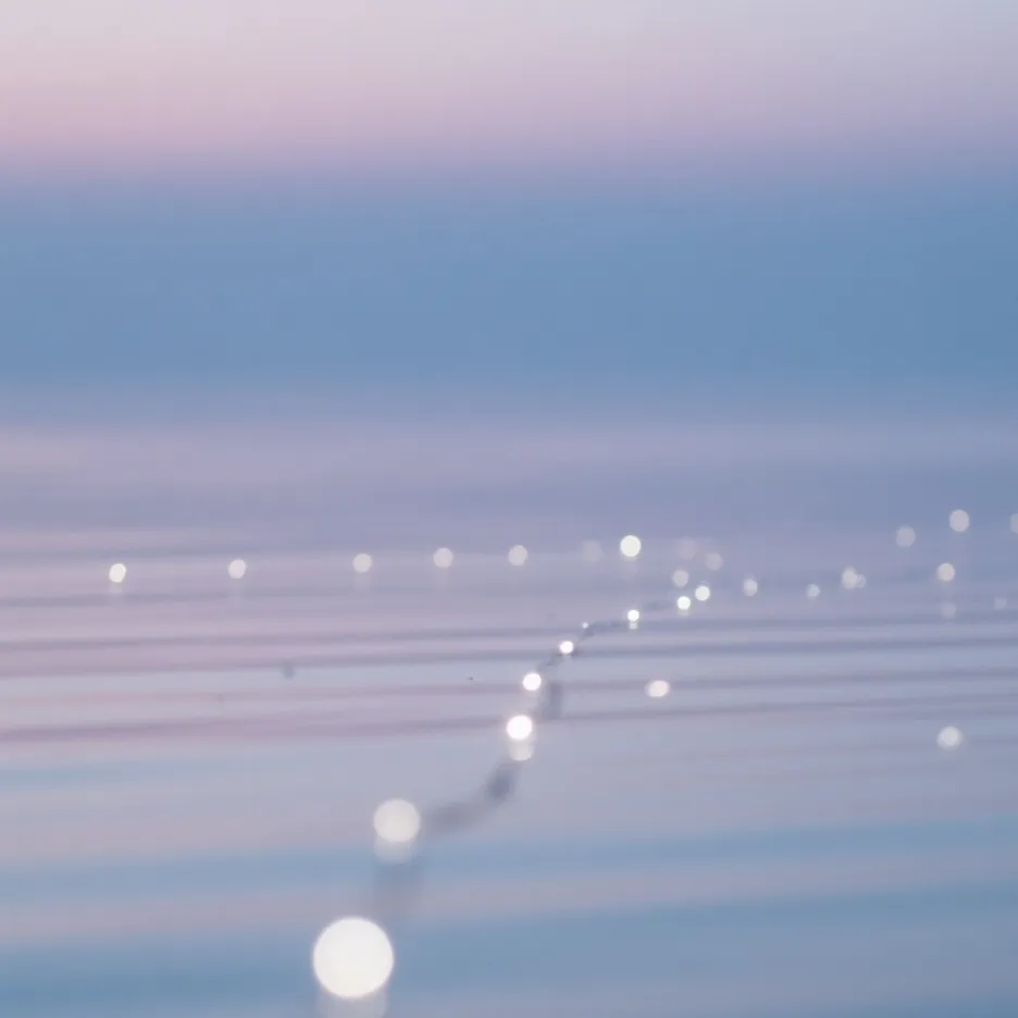 chat with ai character: Crowd