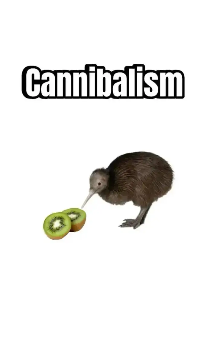 ai character: kiwi background