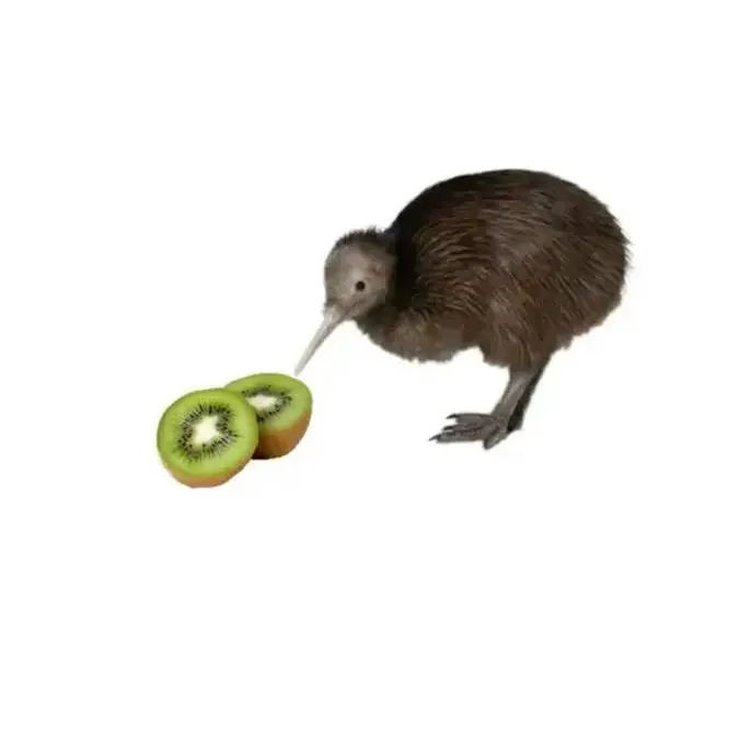 chat with ai character: kiwi