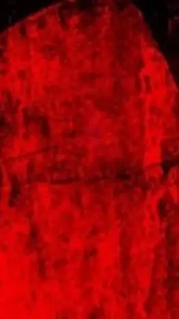 ai character: COOLKIDD background