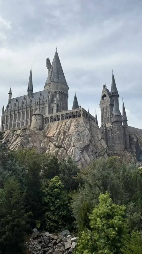 ai character: ST x Hogwarts  background