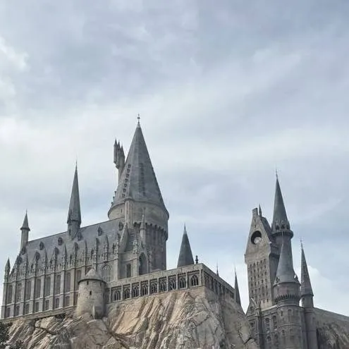 chat with ai character: ST x Hogwarts 