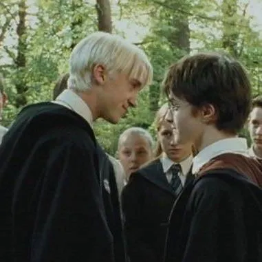 chat with ai character: harry x draco