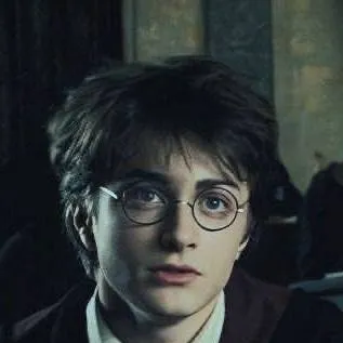 chat with ai character: Harry Potter 