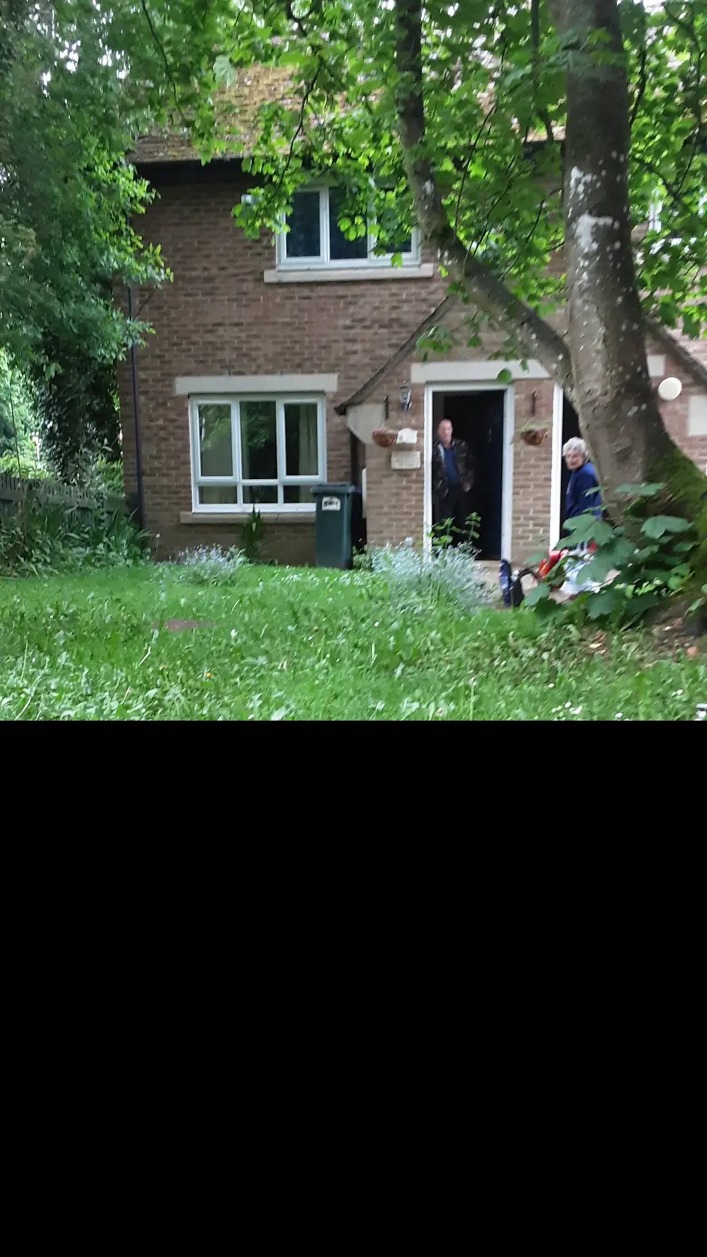 ai character: backyard background