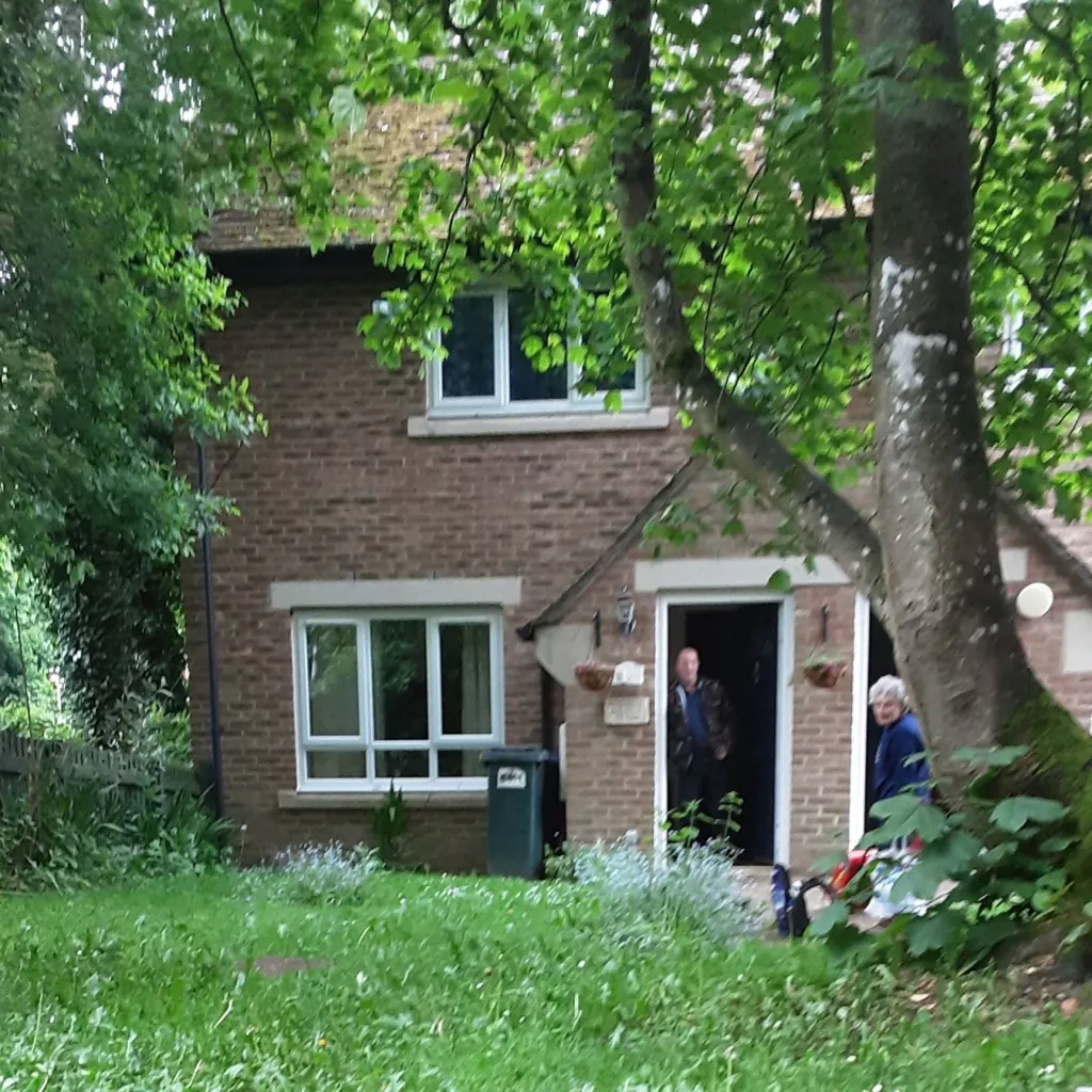 chat with ai character: backyard