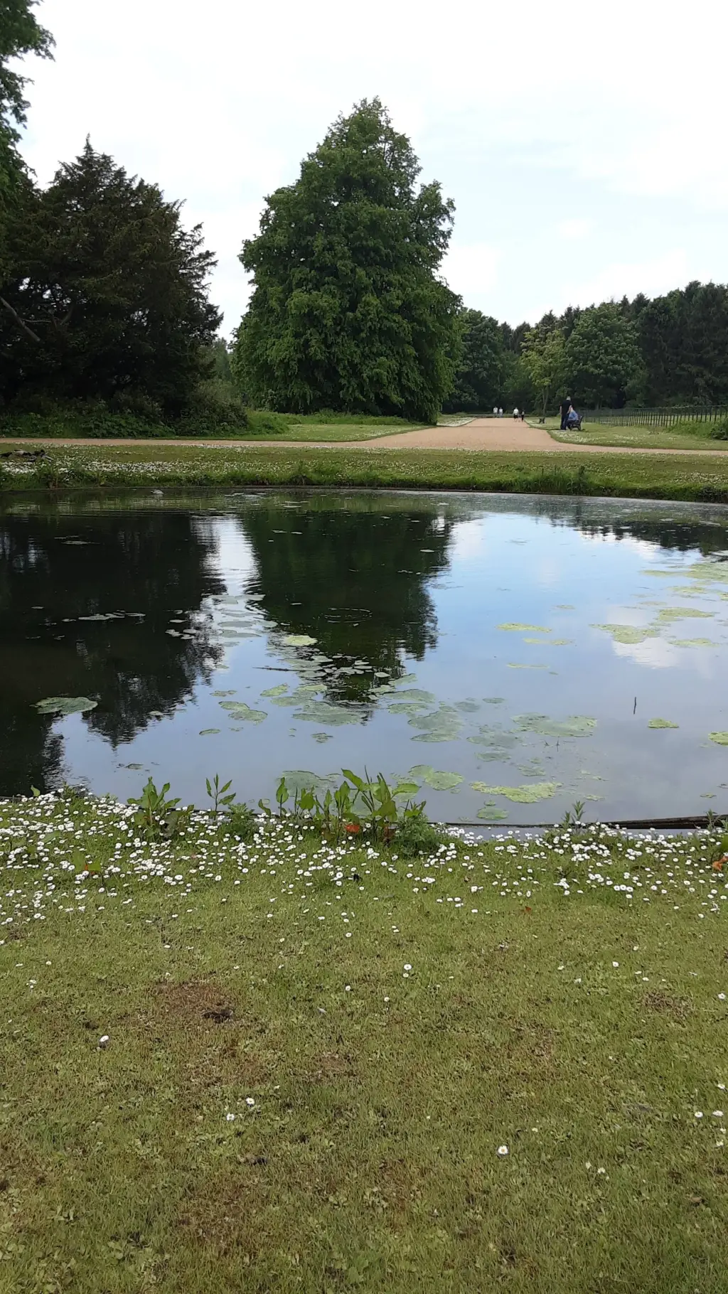 ai character: lake background