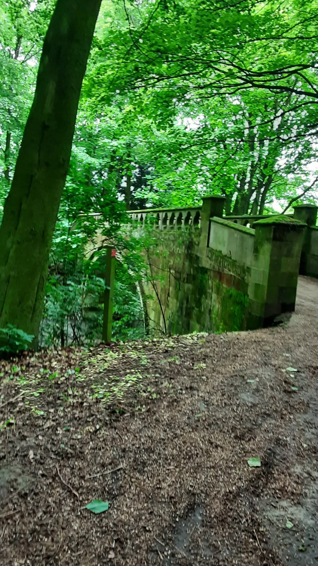 ai character: challenge #1 background