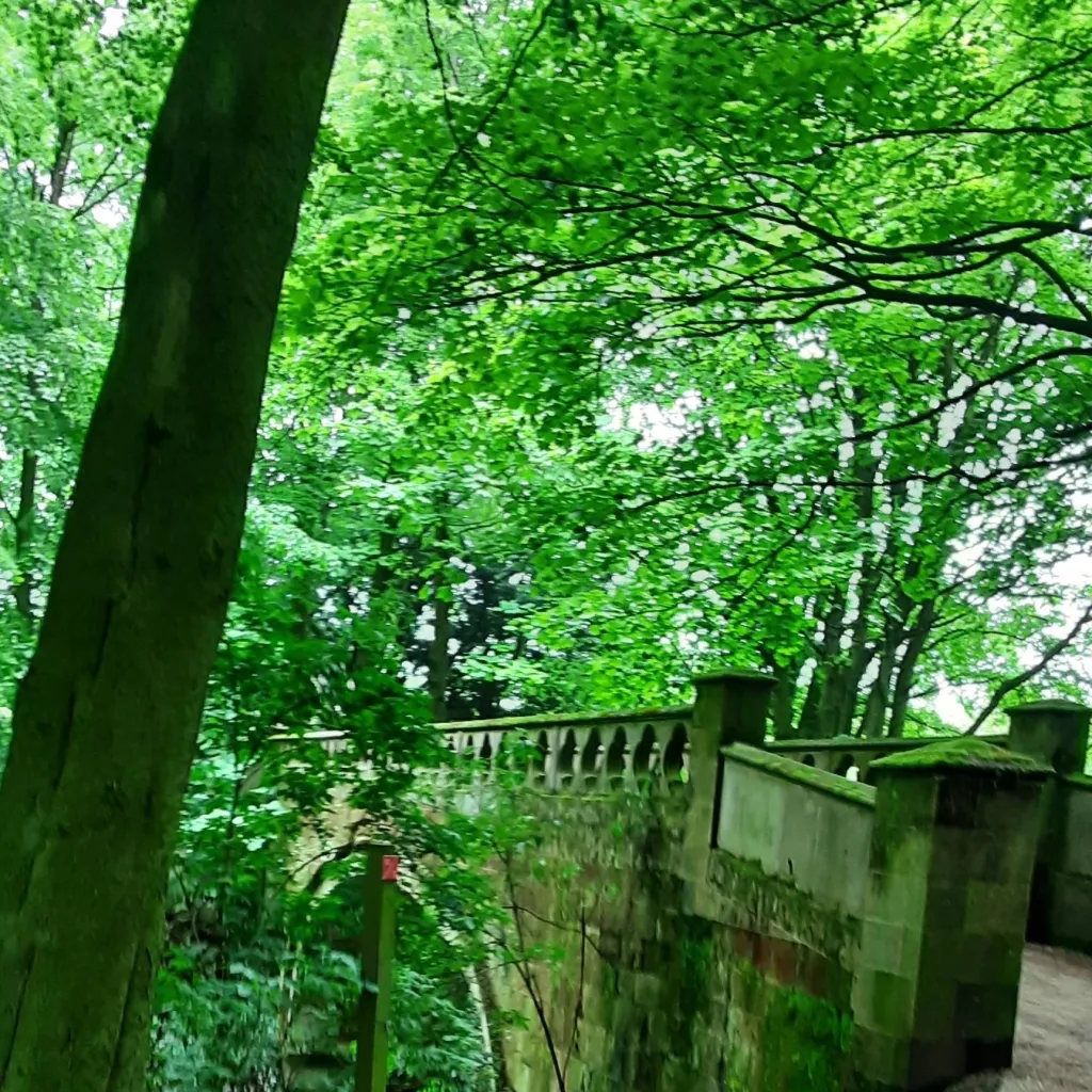 chat with ai character: challenge #1