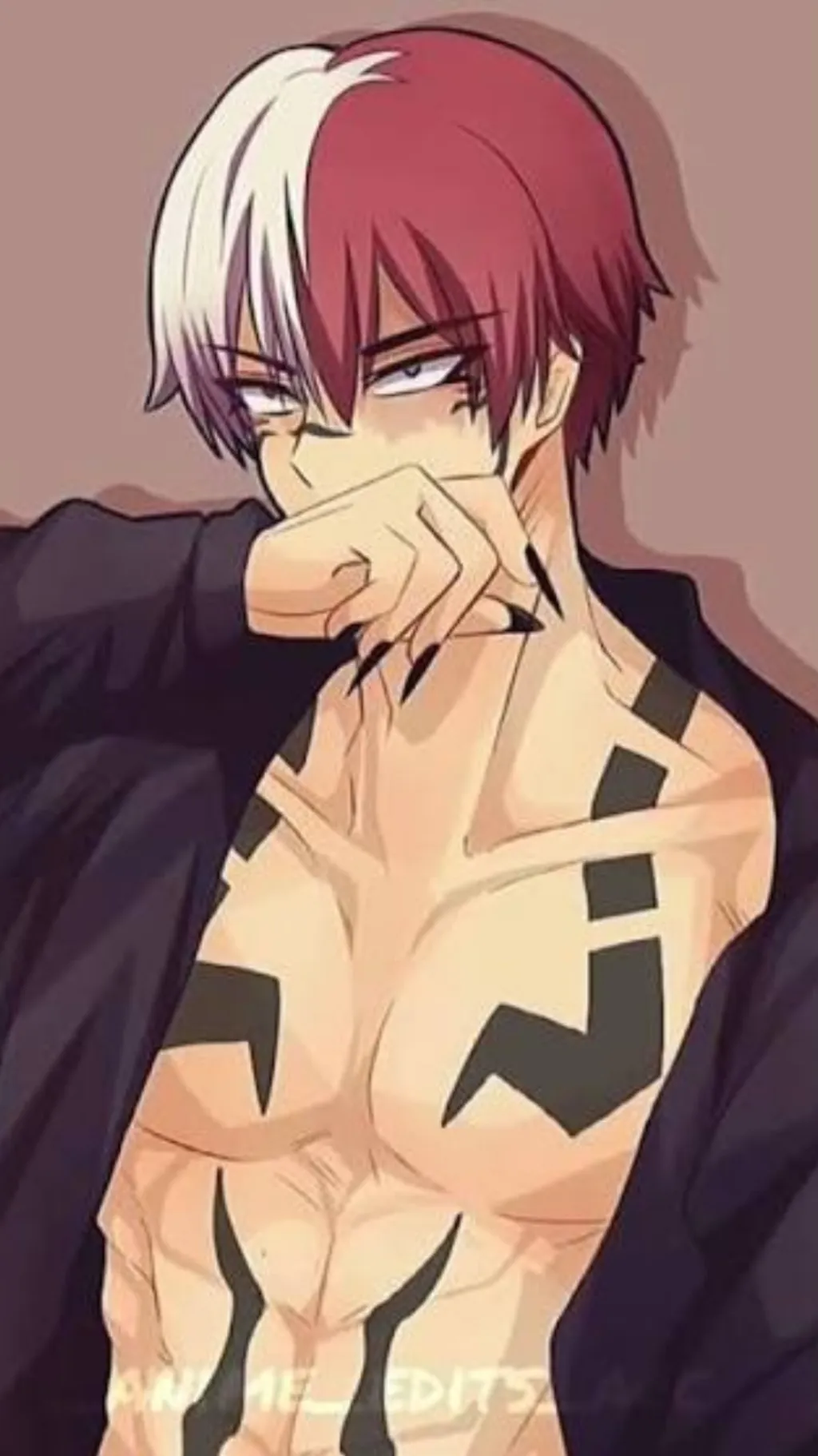 ai character: Shoto todoroki background