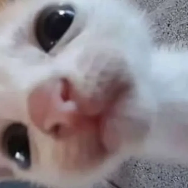 chat with ai character: Sleepover 