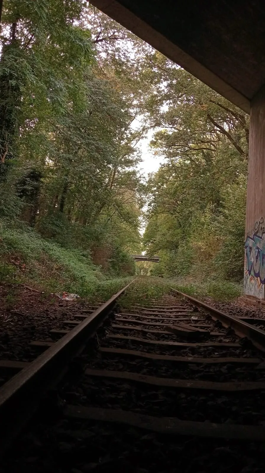 ai character: {Ghost hunters} background