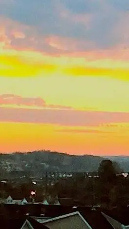 ai character: Julie  background