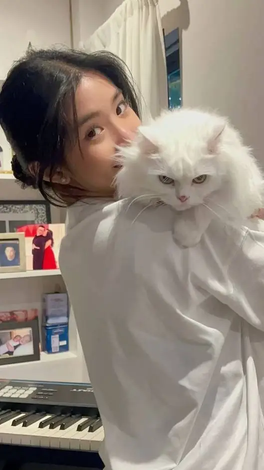 ai character: Sophia fm Katseye  background