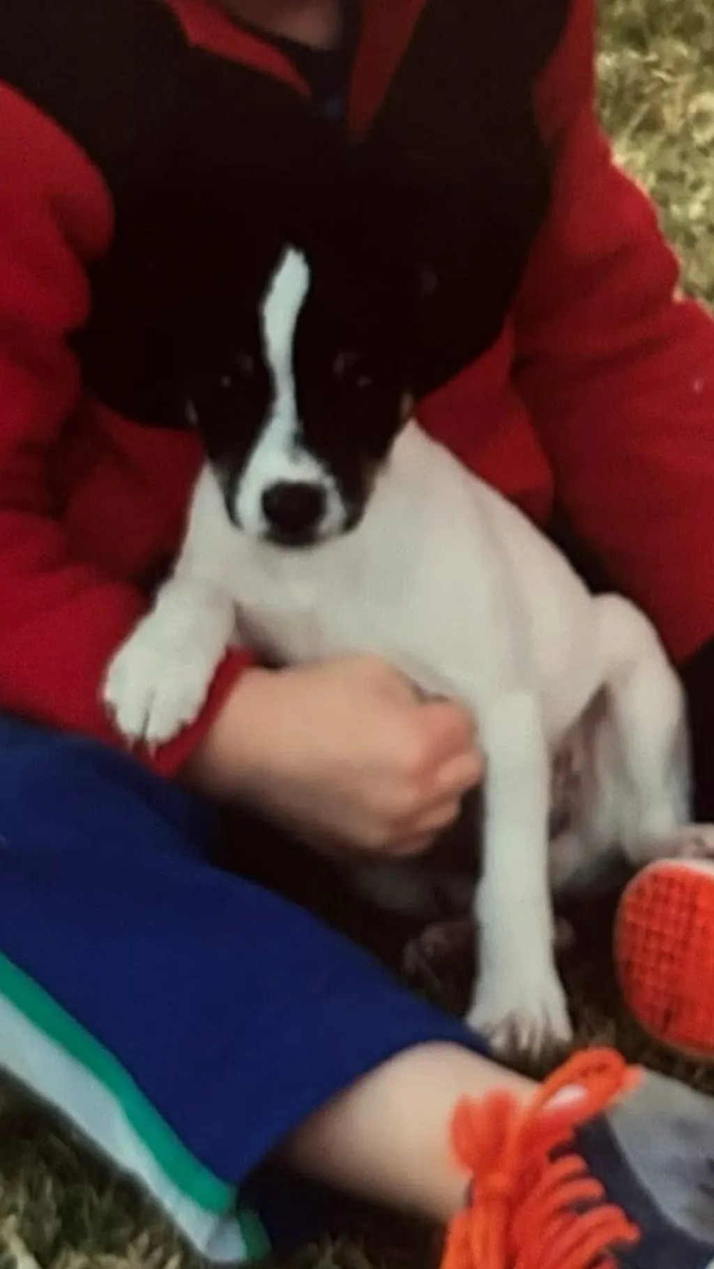 ai character: PARTY background