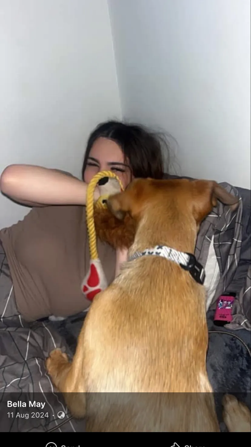 ai character: Bella May background