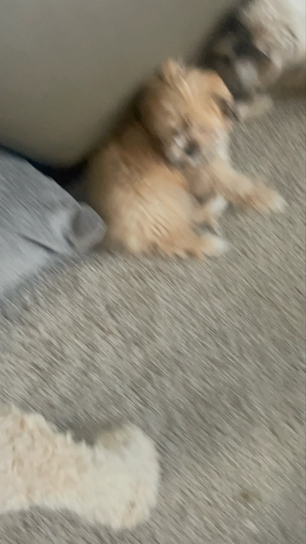 ai character: Moo background