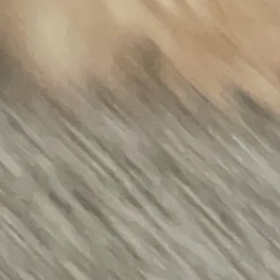 chat with ai character: Moo