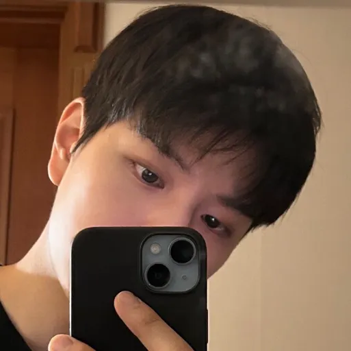 chat with ai character: Seungminnie 🩵🪞