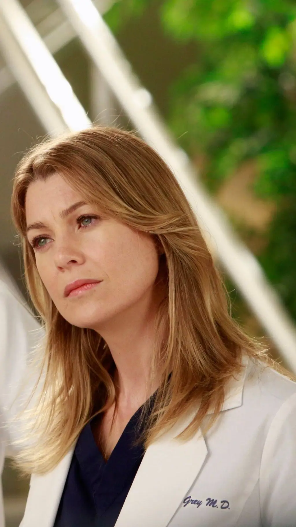 ai character: Gray's anatomy  background