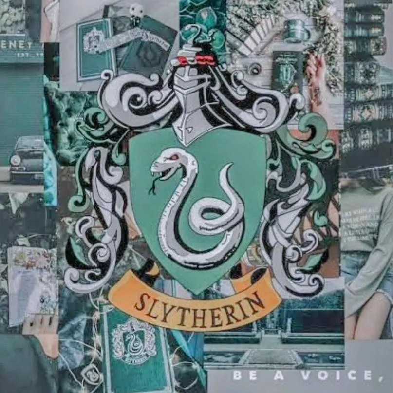 chat with ai character: ❤️‍🔥Slytherin Heat