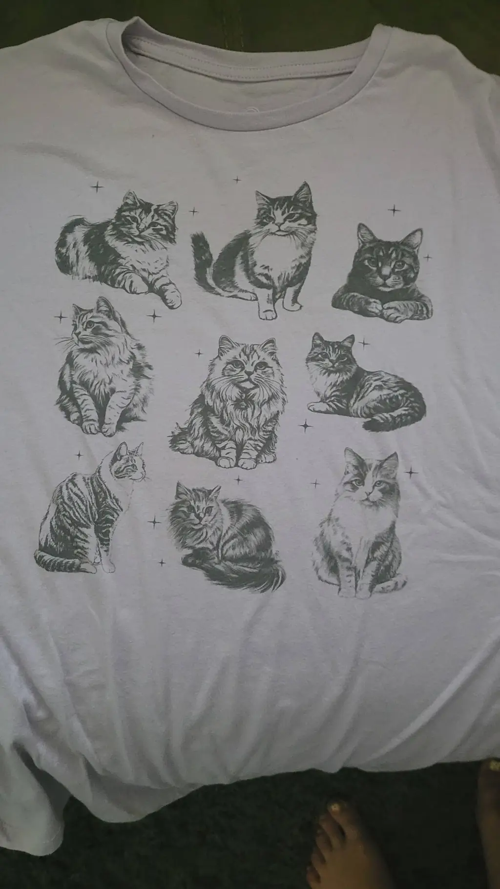 ai character: cats background