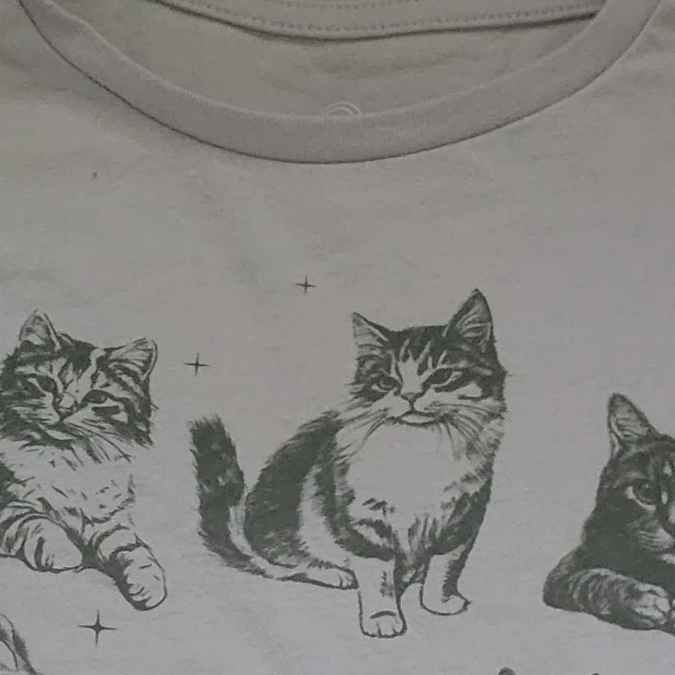 chat with ai character: cats