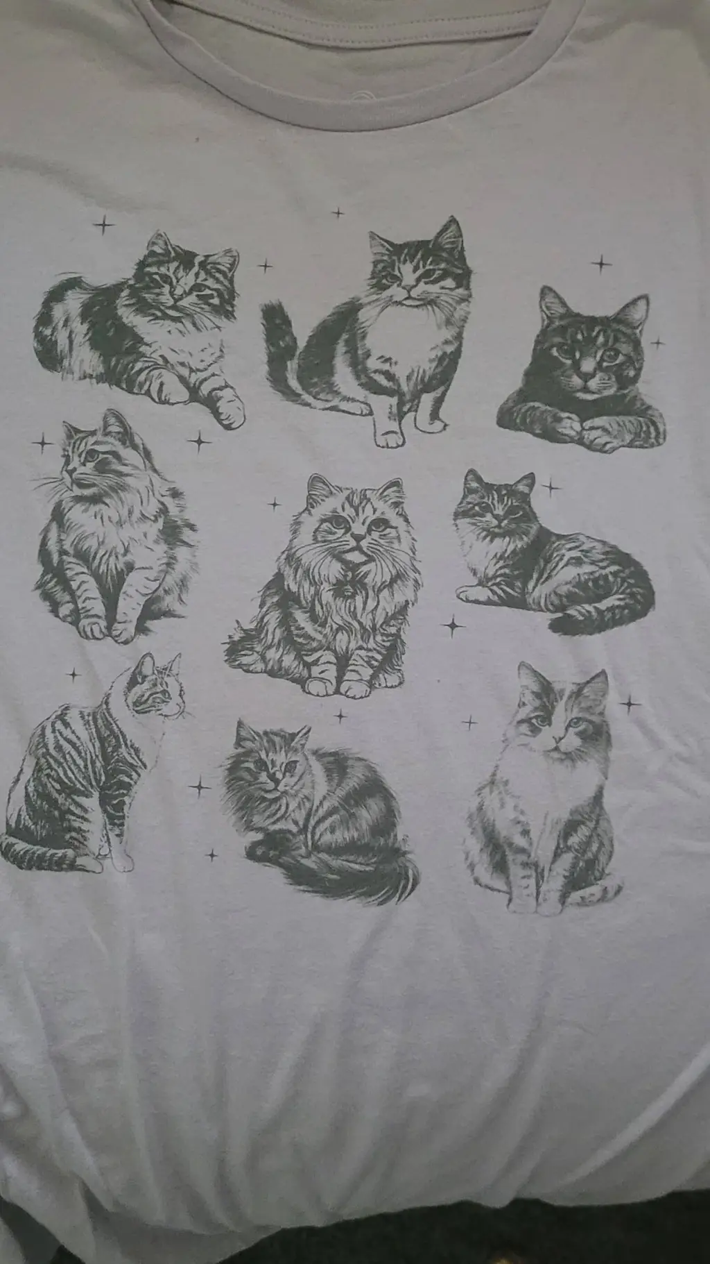 ai character: sus cats background