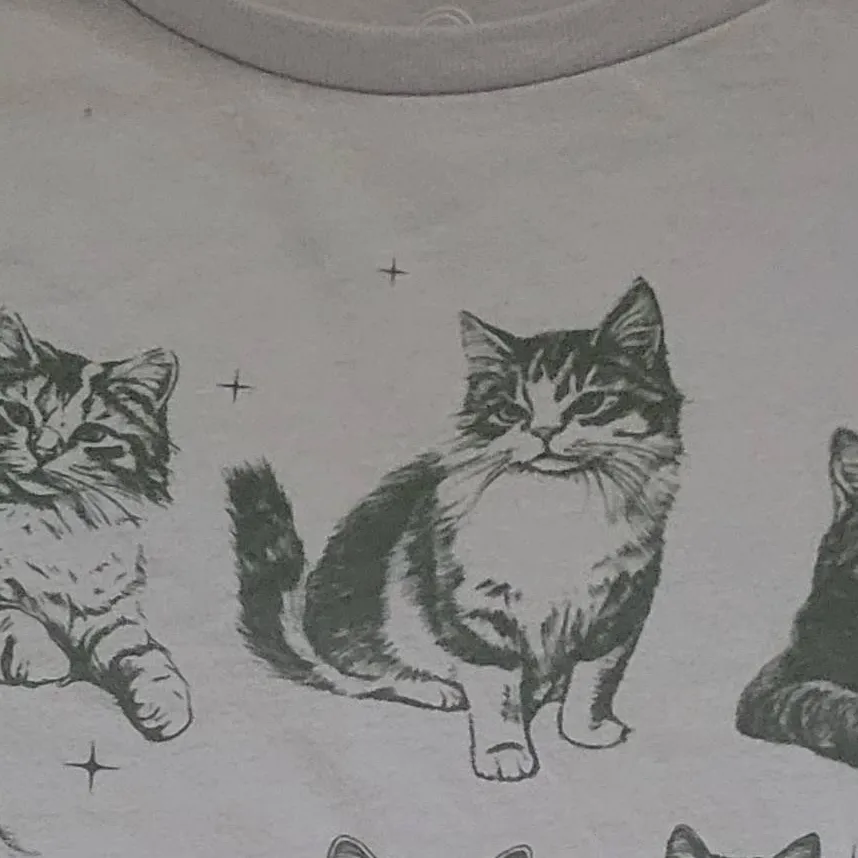 chat with ai character: sus cats
