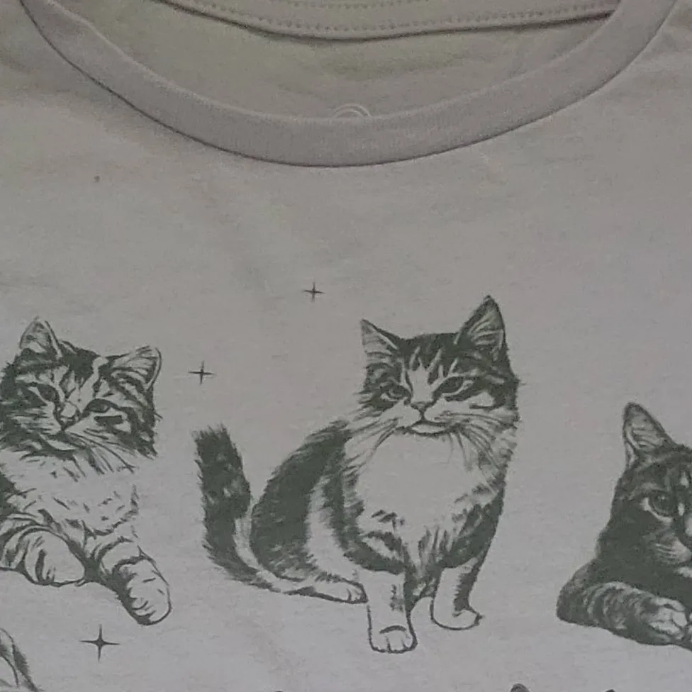 chat with ai character: sus cats part 2