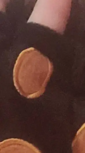 ai character: dog background